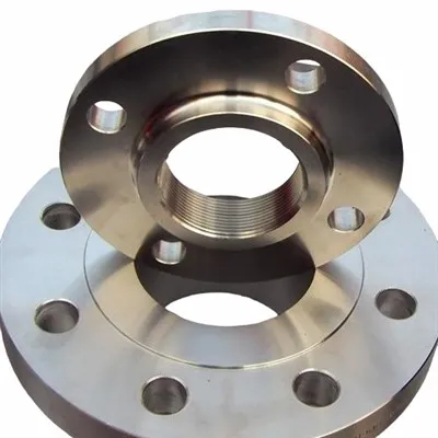 Gr5 Titanijumska prirubnica